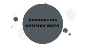 Pengrtian common Noun